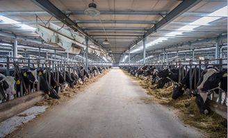 辦公室不長胖零食選它，餐飲管理新思路